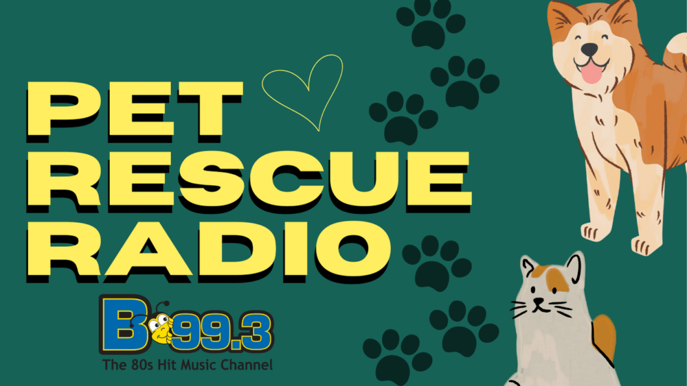 pet-radio-rescue-b-99-3
