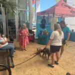 processed-5c435379-ed40-4b87-9a30-81c7ba0fdee8