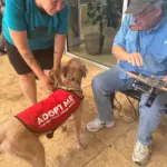 processed-af3c2a7d-b2b8-42ec-9709-1d562df8926a