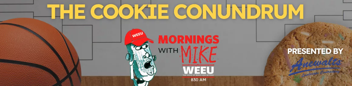 website-banner-1