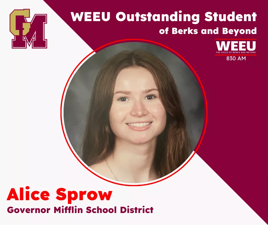 governor-mifflin-alice-sprow