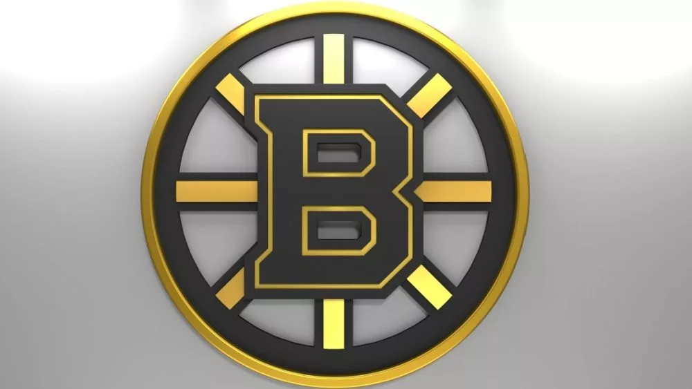 Emblem of the Boston Bruins. The Boston Bruins are a professional ice hockey team. Logo for presentation or infographics. 3D render. 3D Illustration