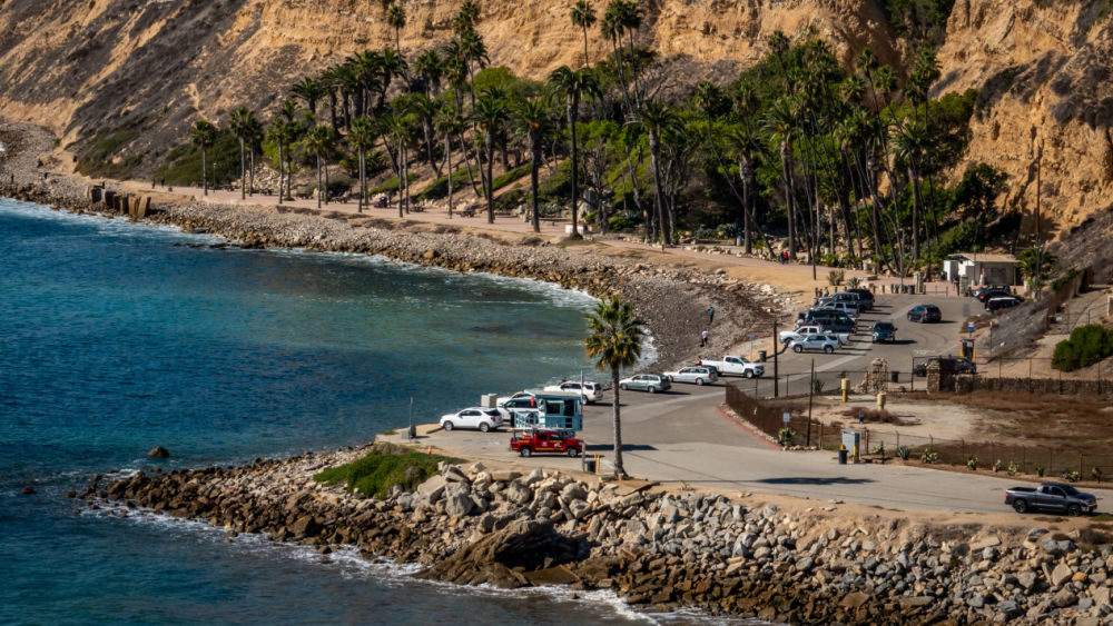 shutterstock_1238880025367092