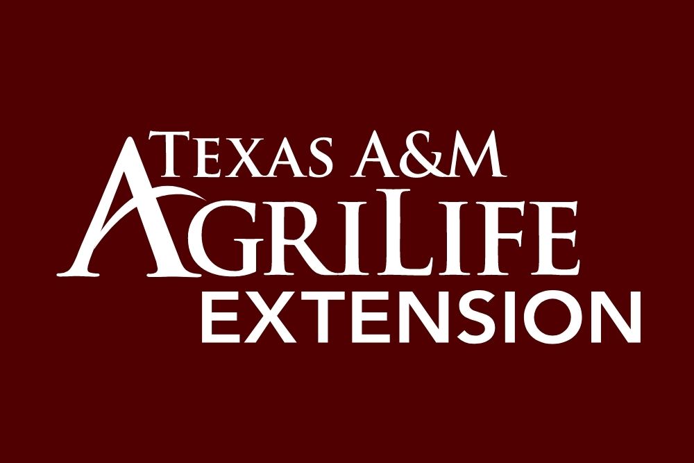 agrilife-extension-1