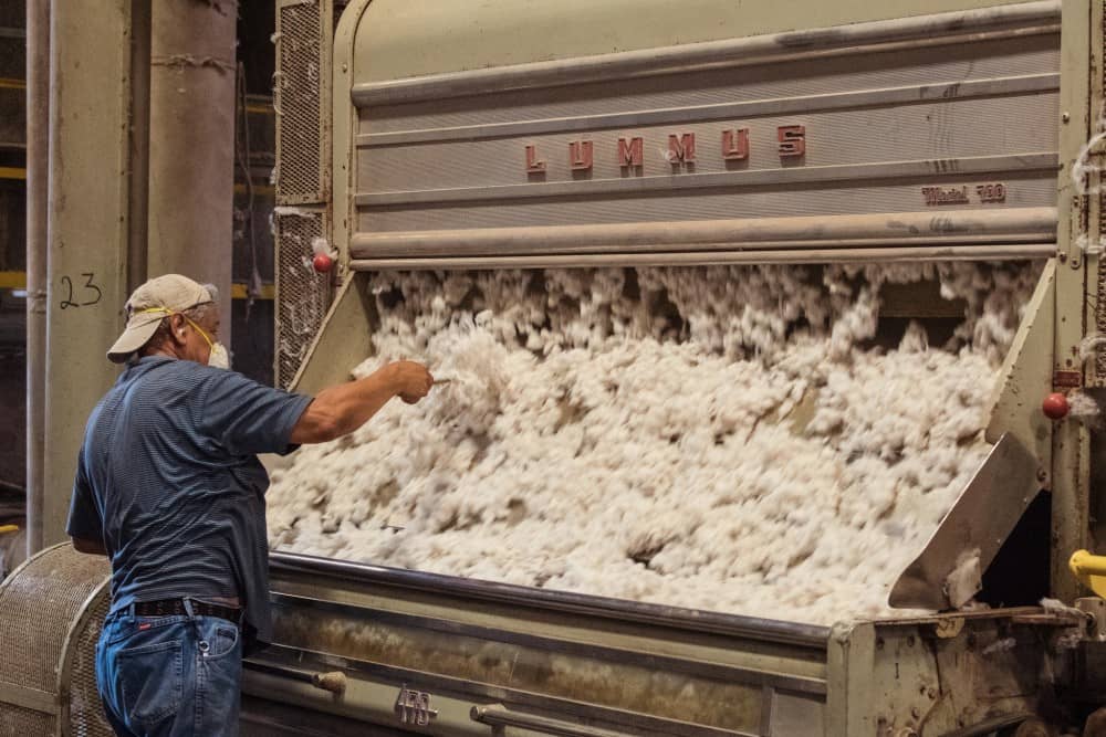 cotton-ginning