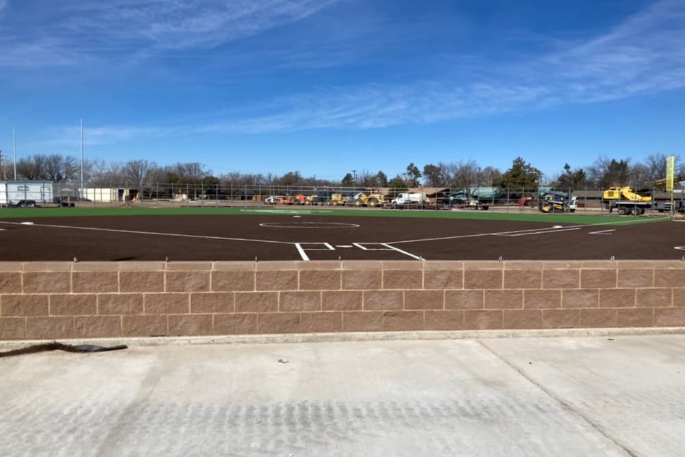 ladywindsfield