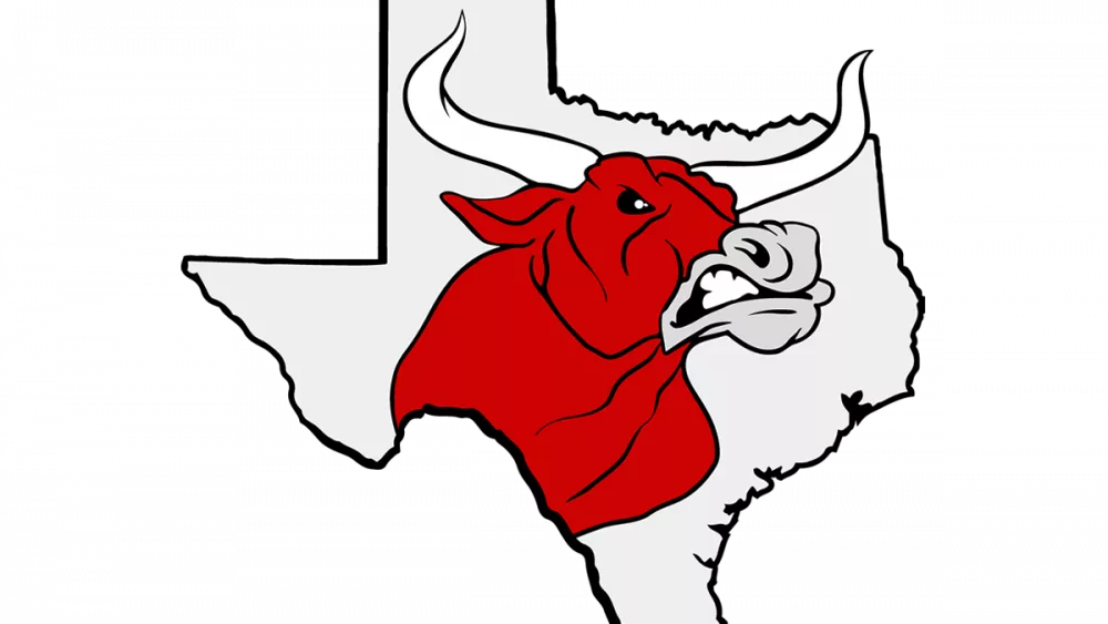 lockneylonghornlogo