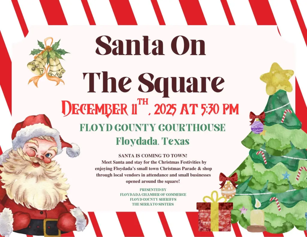 santa-on-the-square-25