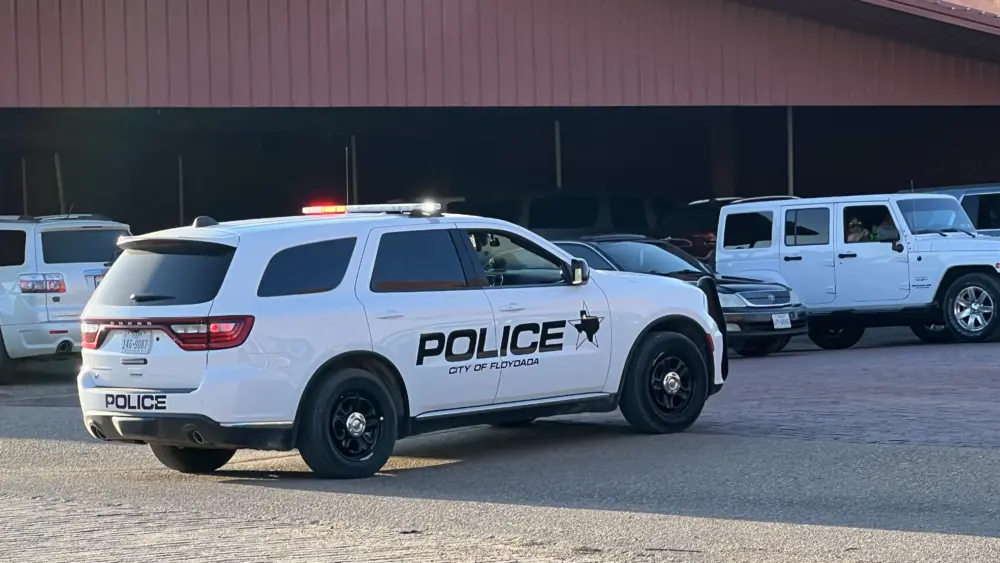 20240910_190427_img_6297