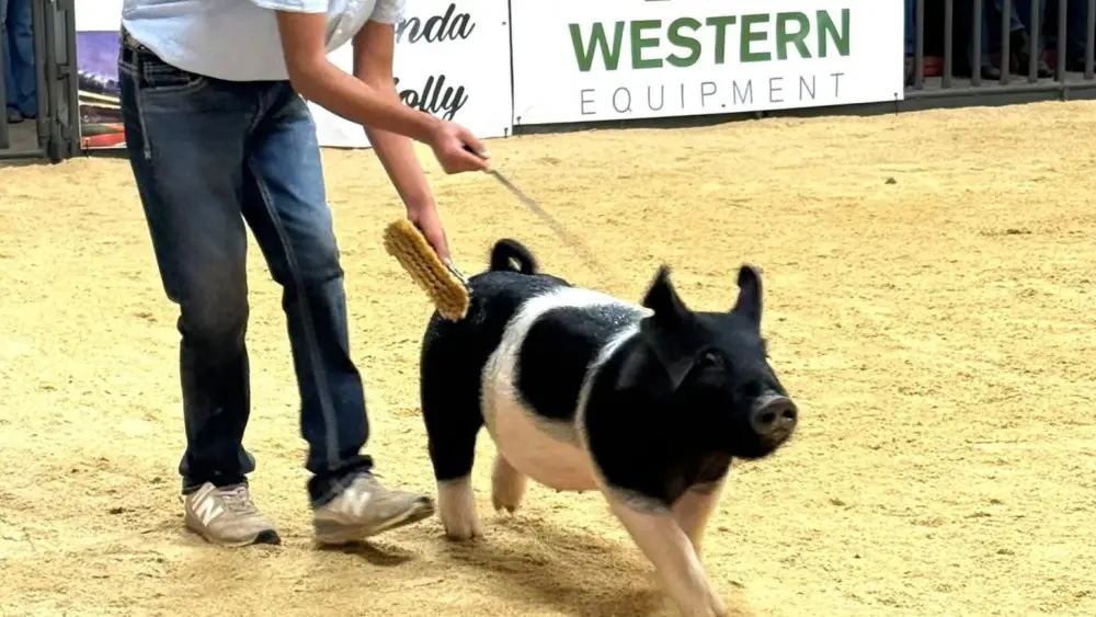 fb_img_1765748920885