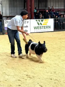 fb_img_1765748920885