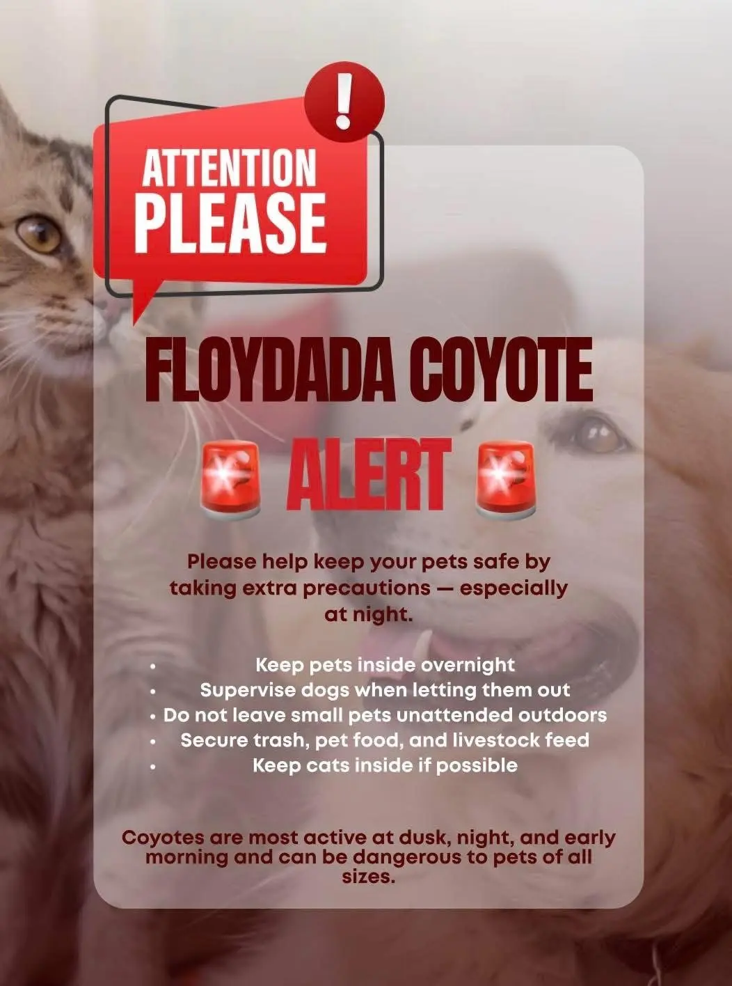 coyote-alert