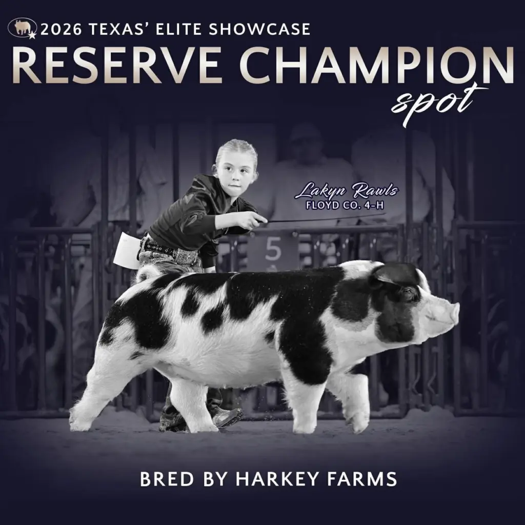 fb_img_1771089828764