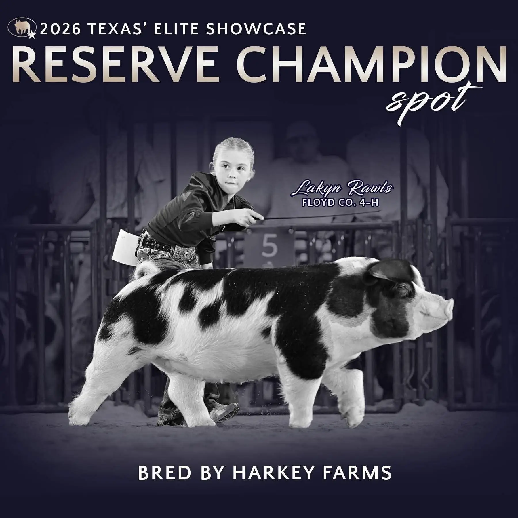 fb_img_1771089828764