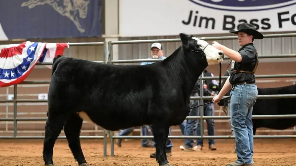 fb_img_1771090682229