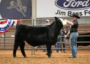 fb_img_1771090682229