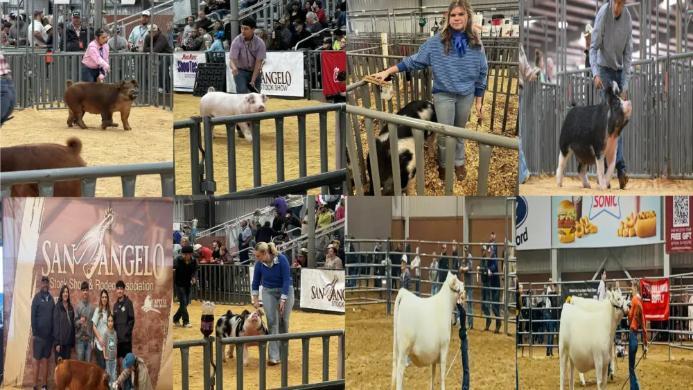 san-angelo-stock-show-floydada-ffa