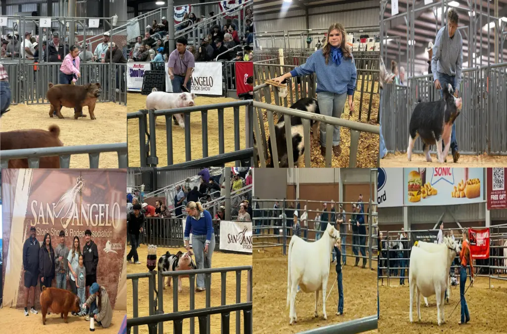 san-angelo-stock-show-floydada-ffa
