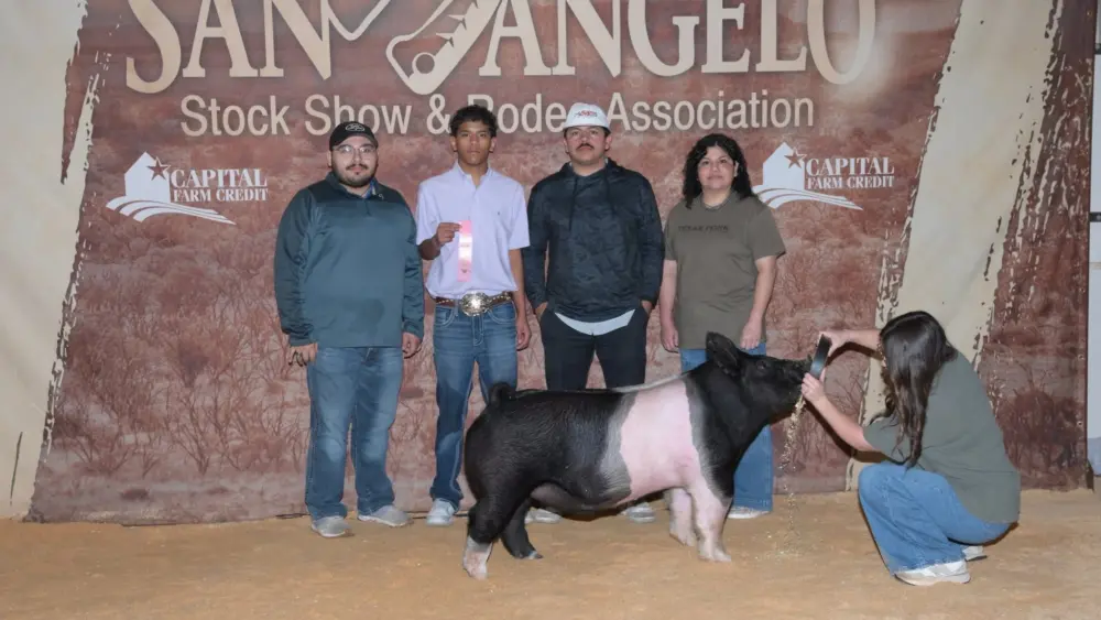 armando-chavarria-san-angelo