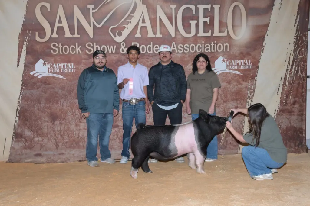 armando-chavarria-san-angelo