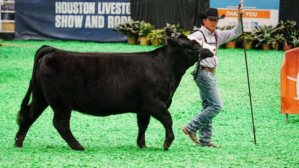 nick-cervantes-houston