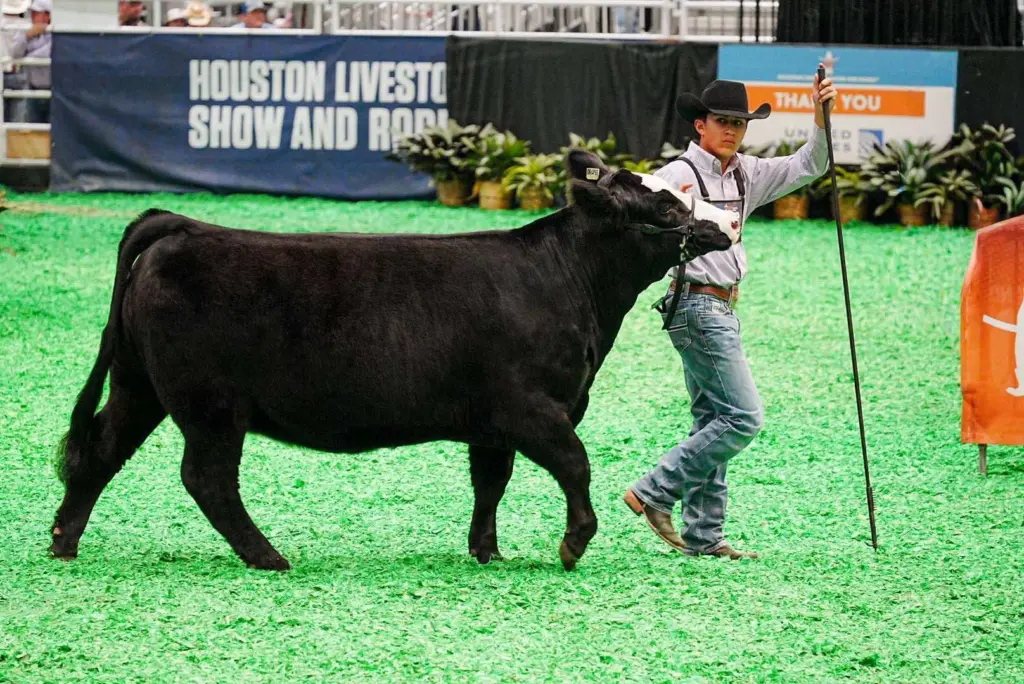 nick-cervantes-houston