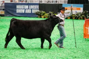 nick-cervantes-houston