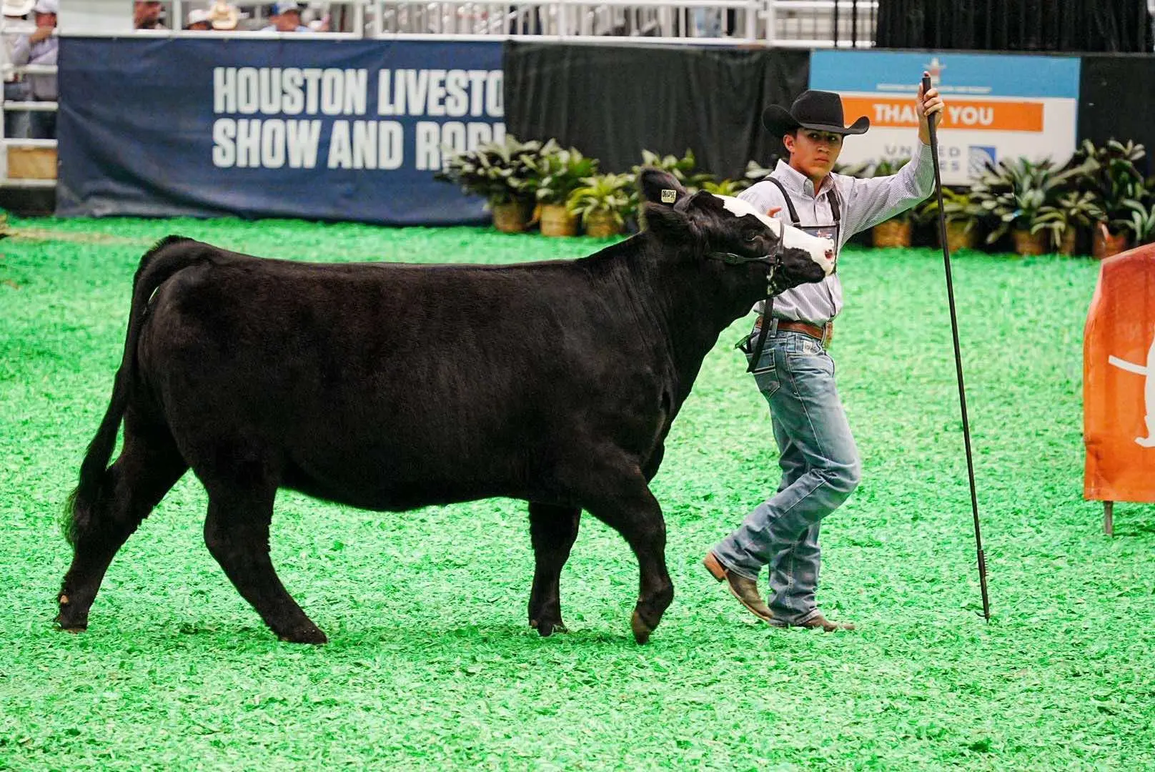 nick-cervantes-houston