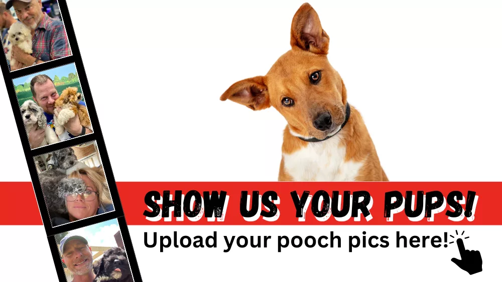 show-us-your-pups-flipper84-2