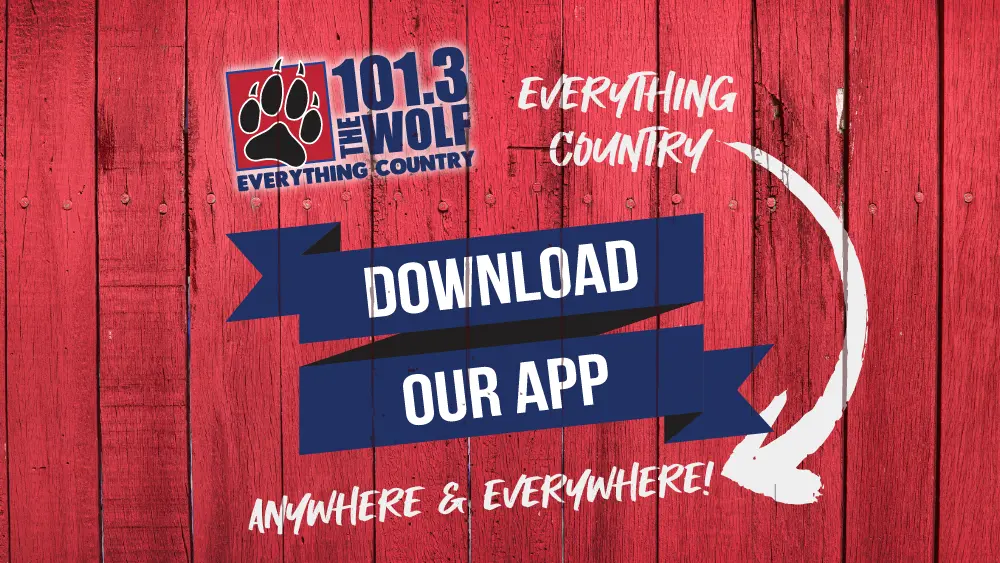 wolf-app-download-2025-01
