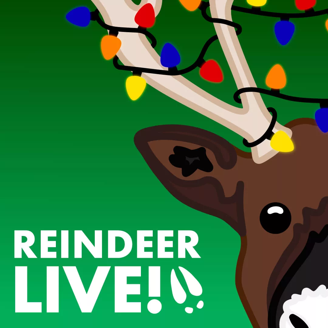 reindeersm1_67df1aac-148e-42e5-9ddb1b8a136798e1_3f015373-af00-413e-96703ee8eedcbea1