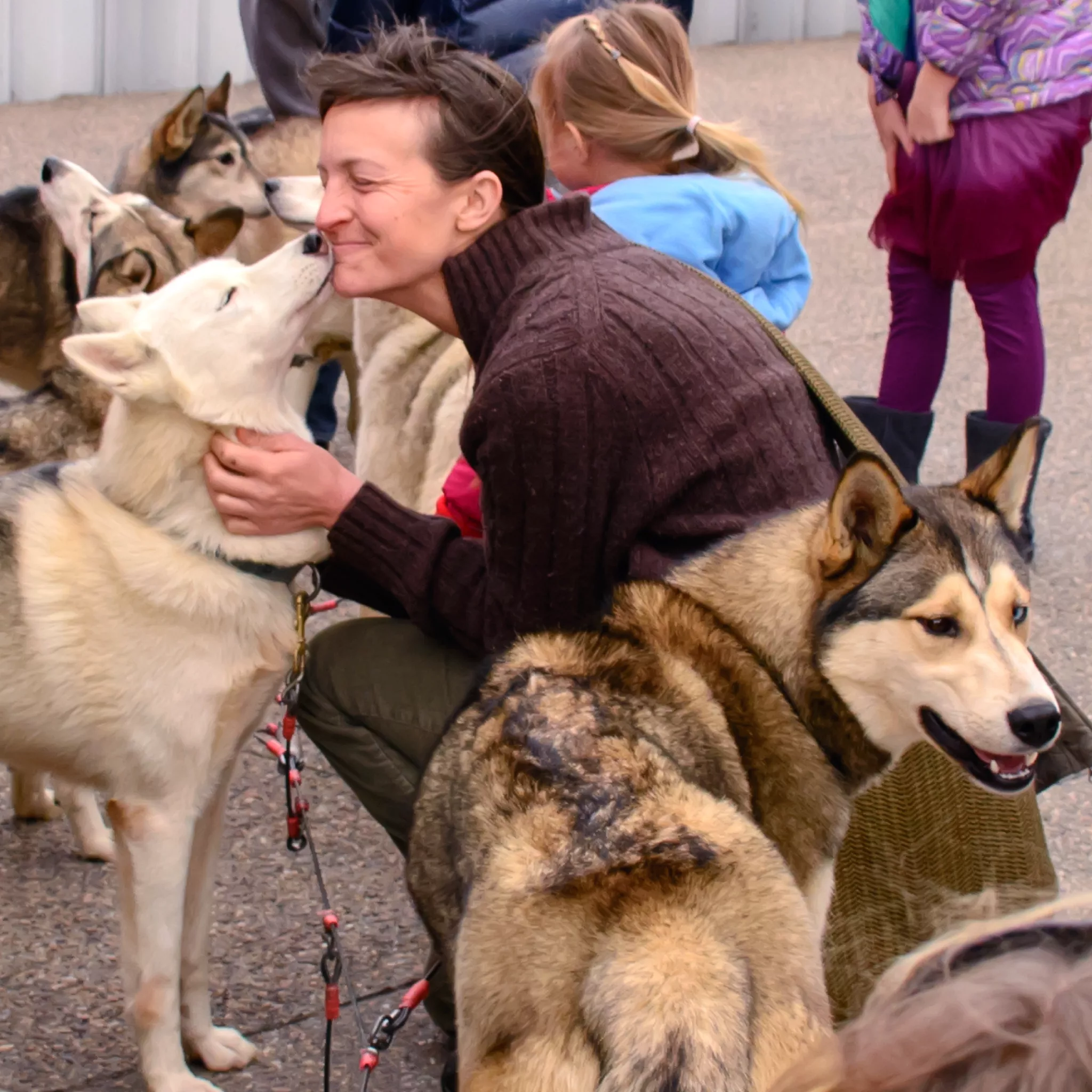 sled-dogs-instagram-photos-03