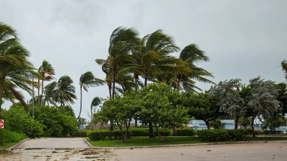 City of Miami Beach^ hurricane Irma. Florida. USA.