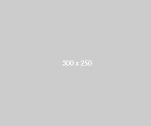 Banner-300-x-250