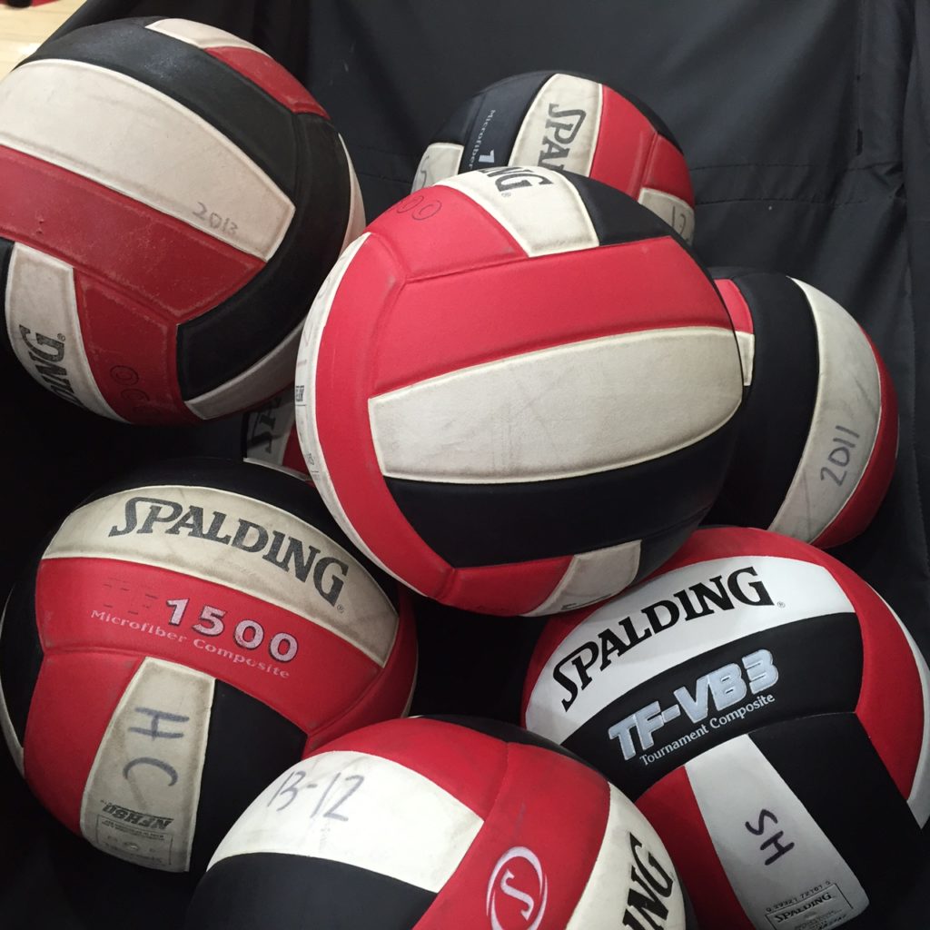 volleyball-1024x1024-1-10
