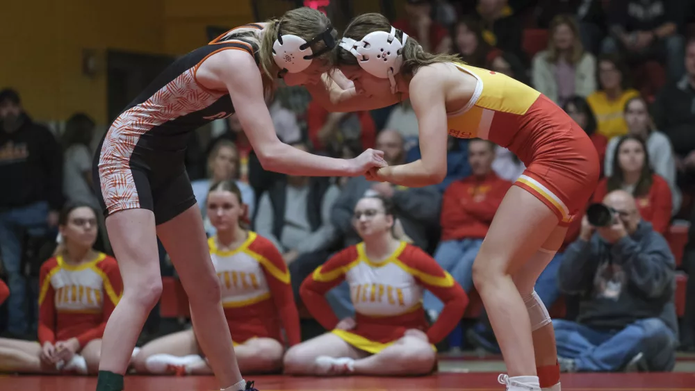 state-girls-wrestling