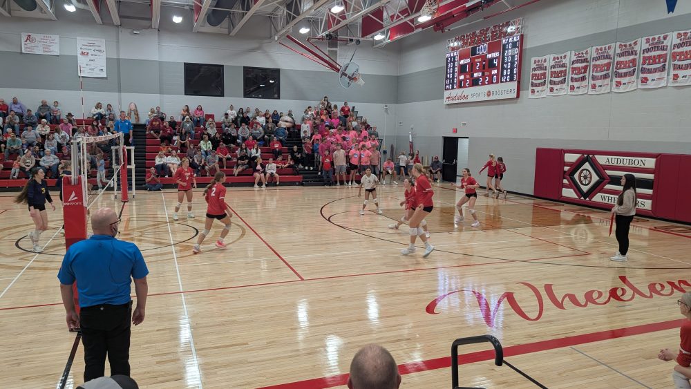 pxl_20251008_005524878