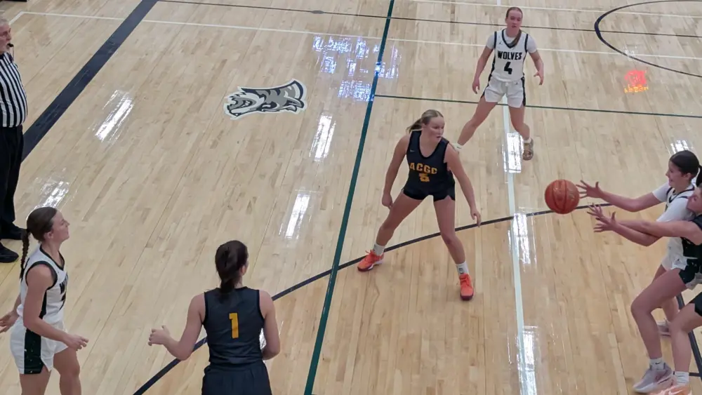 pxl_20251125_012026424