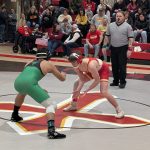 pxl_20260117_171744336