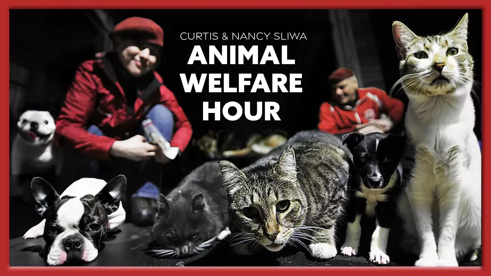 Curtis-Animal-Welfare-Hour-Logo