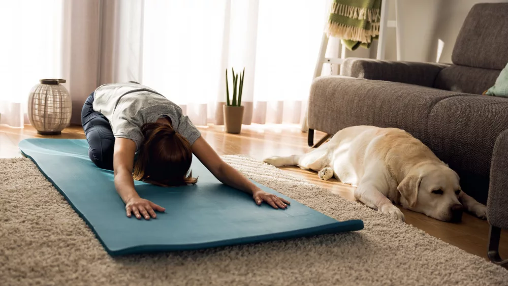 doing-exercise-with-my-lazy-dog