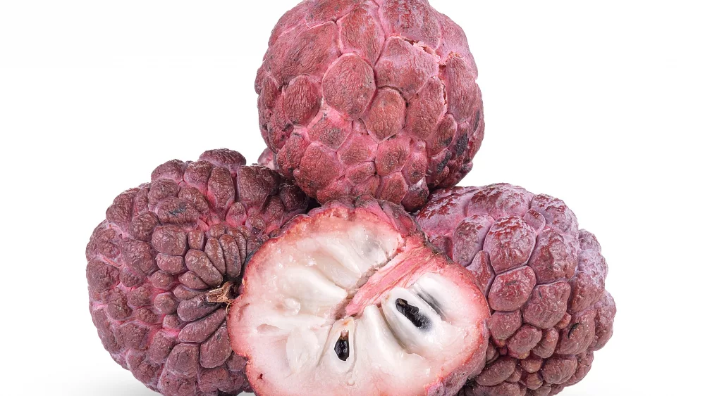 purple-custard-apple-on-white-background