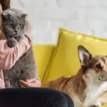 A Lawyer Is Suing the IRS, Demanding Pets Count as Legal Dependents