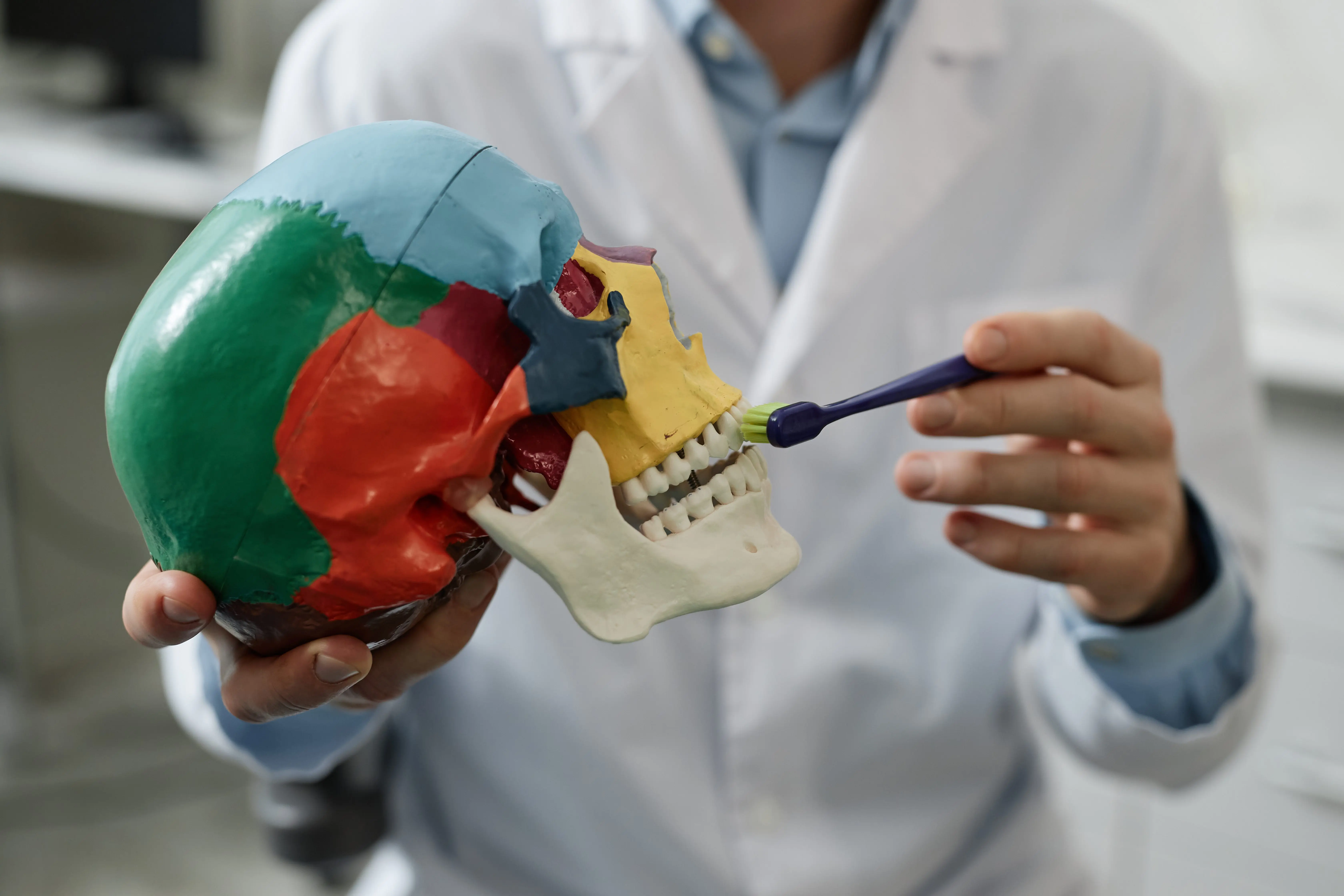 close-up-of-unrecognizable-dentist-showing-tooth-brushing-tecnique