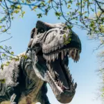 Colorado scientists uncovers Tyrannosaurus rex footprints