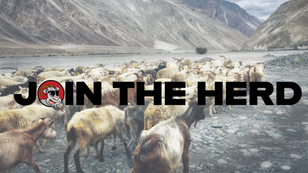 join-the-herd-1920x1080
