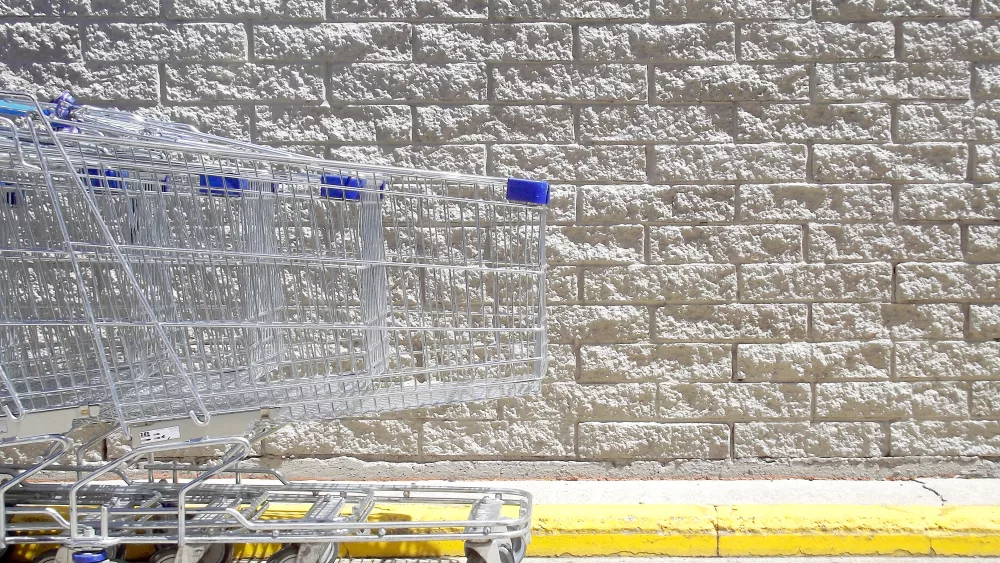 shopping-trolleys-in-front-of-a-textured-brick-wal-2023-11-27-04-55-13-utc