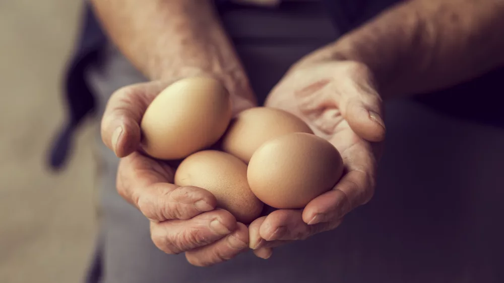 organic-eggs