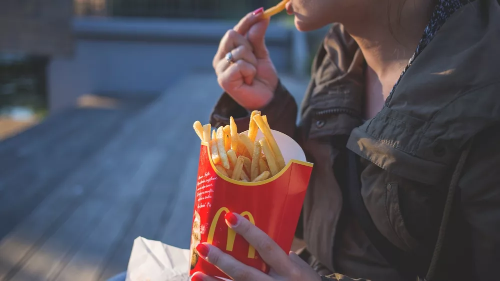french-fries-1851143_1280
