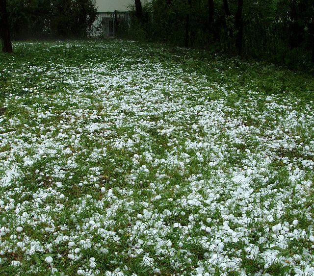 hail stones in a field Credit: Photographer: Soon Chun Siong Nerdybeng at English Wikipedia Public domain